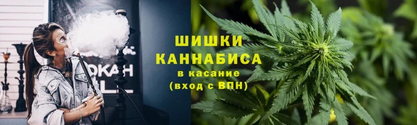 ГАЛЛЮЦИНОГЕННЫЕ ГРИБЫ Белоозёрский