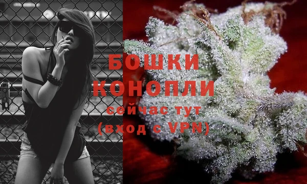 ГАЛЛЮЦИНОГЕННЫЕ ГРИБЫ Белоозёрский