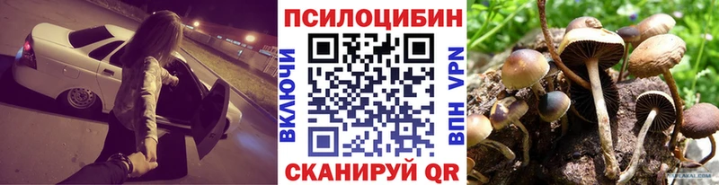 Галлюциногенные грибы прущие грибы  hydra зеркало  Кувшиново  закладки 